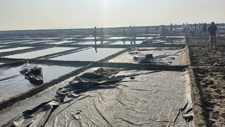 বাঁশখালীতে লবণ মাঠের পলিথিন কেটে এ কেমন শত্রুতা!