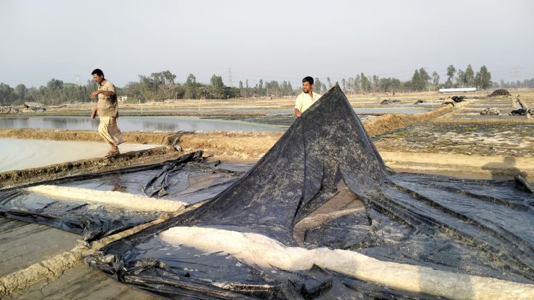 বাঁশখালীতে লবণ মাঠের পলিথিন কেটে জায়গা দখল চেষ্টার অভিযোগ 