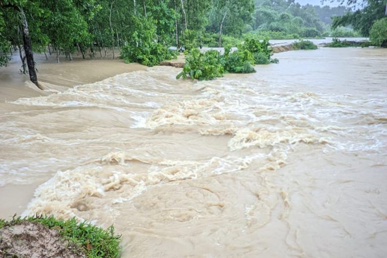ফেনীতে ৪৮ ঘণ্টায় ৫৩৯ মি.মি. বৃষ্টিপাত, মুহুরী নদীর পানি বিপদসীমার ১৩০ সেন্টিমিটার ওপরে