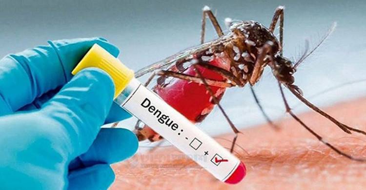 সারাদেশে ডেঙ্গুতে আরও ৩ জনের মৃত্যু, নতুন করে আক্রান্ত ৪০৯