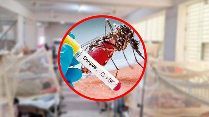সারাদেশে ডেঙ্গু আক্রান্ত ২৪ ঘণ্টায় ২০৪ জন