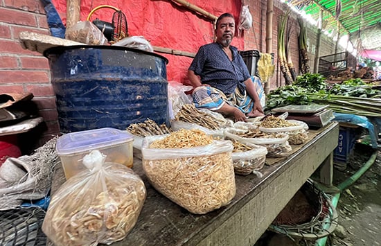 পরিবেশ রক্ষায় প্লাস্টিক বর্জন অপরিহার্য : আন্তর্জাতিক ও স্থানীয় উদ্যোগে গুরুত্ব আরোপ