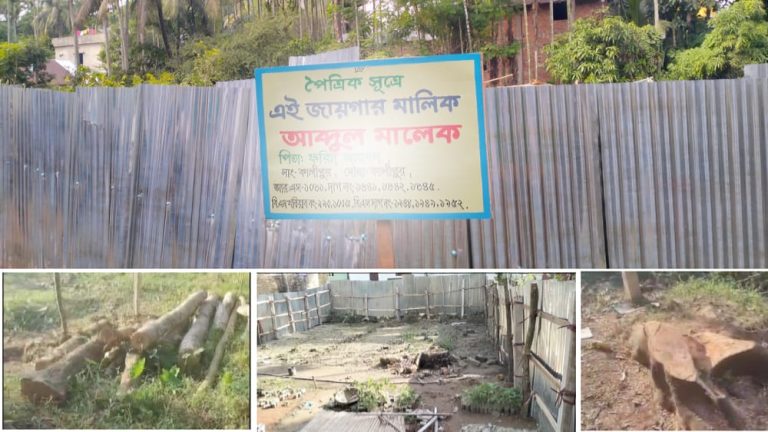 বাঁশখালীতে ছাত্রদল নেতার বিরুদ্ধে জায়গা দখলের অভিযোগ