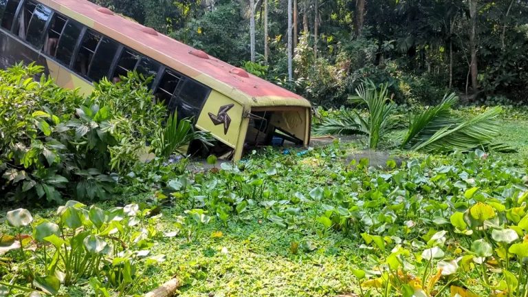 বরিশালে বেপরোয়া বাস নিয়ন্ত্রণ হারিয়ে খাদে