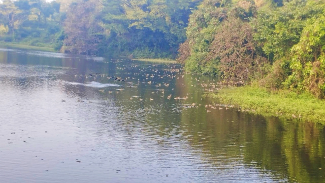 ভরা যৌবন ফিরে পাওয়ার অপেক্ষায় বাঁশখালী ইকোপার্ক: প্রস্তুত আধুনিক মাস্টারপ্ল্যান