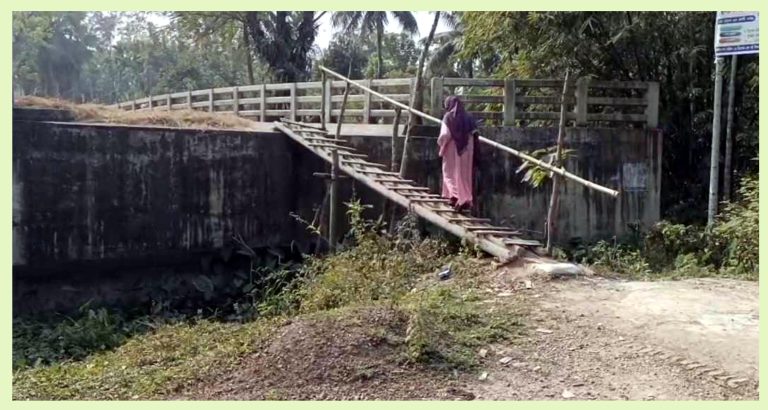 প্রায় দুই কোটি টাকার ব্রিজটিতে ওঠতে হয় মই বেয়ে!