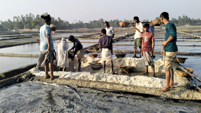 লবণ মাঠে ব্যস্ত বাঁশখালীর চাষীরা, ন্যায্যমূল্য না পেয়ে বাড়ছে হতাশা