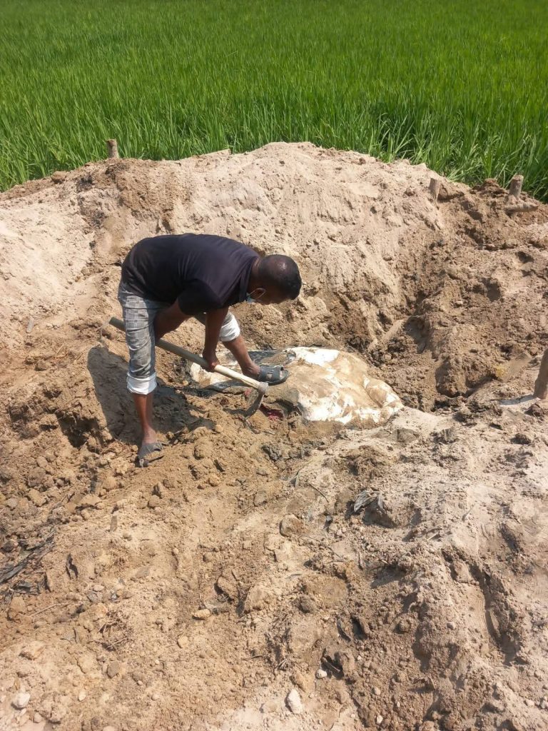 হাতি হত্যা করে মাটিচাপা ওপরে ঘর তুলে আলামত গোপনের চেষ্টা